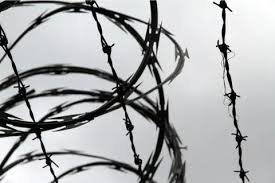 Close up of Razor Wire (high security)